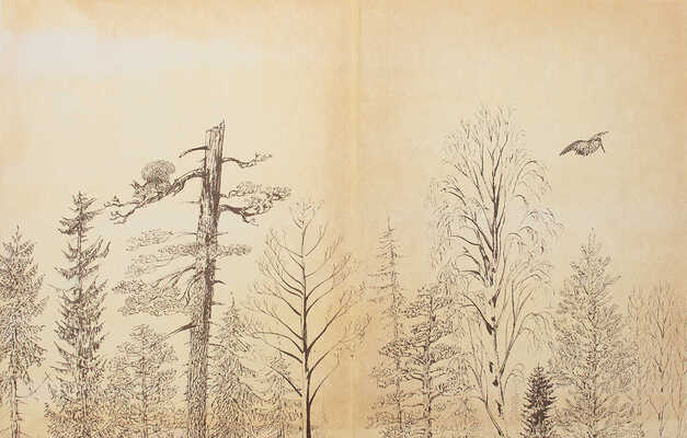 Бианки В.В. Рассказы и сказки / Вступ. ст. Г. Гроденского; ил. В. Курдов и др. М.; Л.:  Детгиз, 1954.